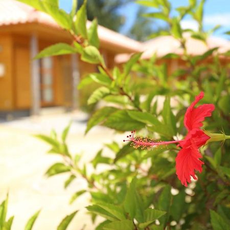 冲绳今归仁旅之邸宅霍曼概念旅馆 外观 照片